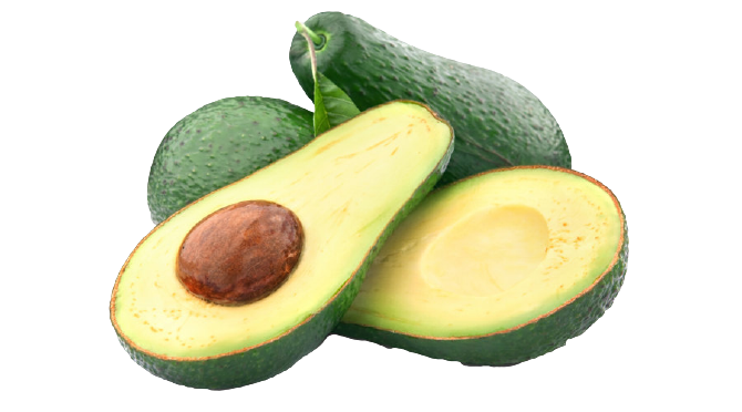 Indian Avocado